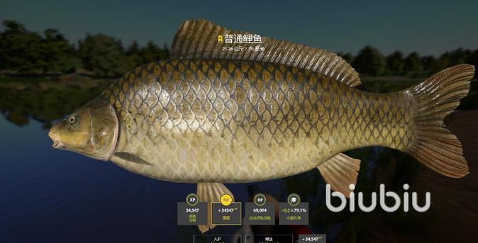 russian fishing 4怎么设置中文