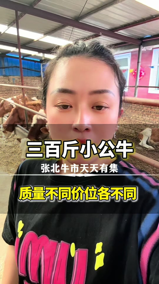 小牛一头多少钱