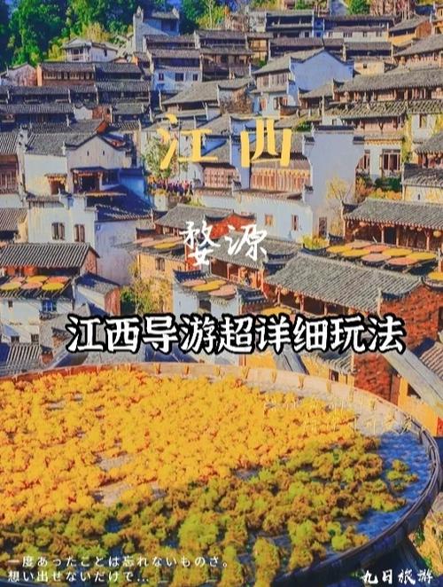 江西省旅游科技集团