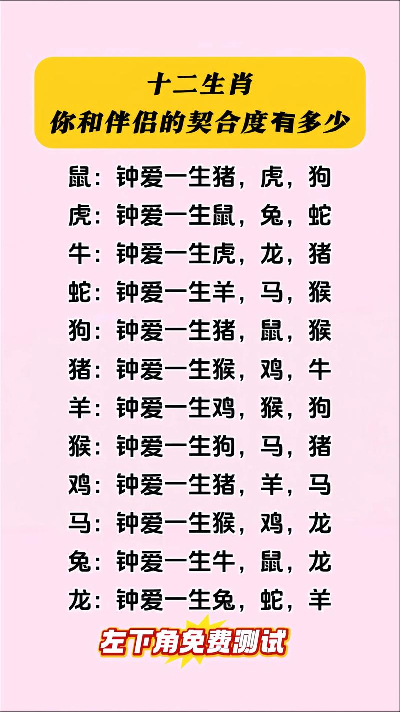静姝适合什么属相