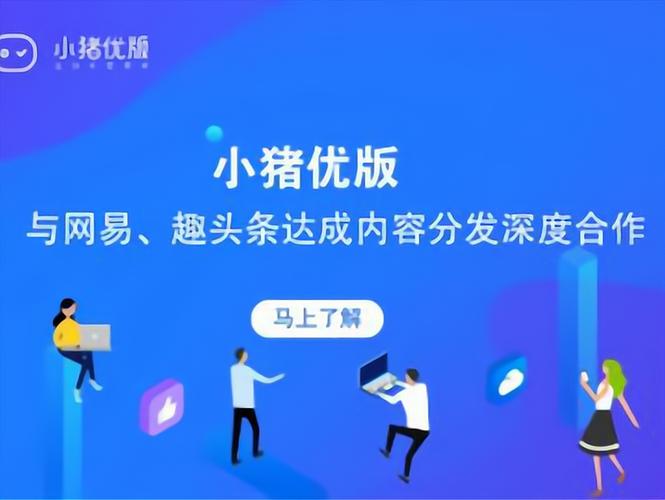 小猪优版账号多少钱