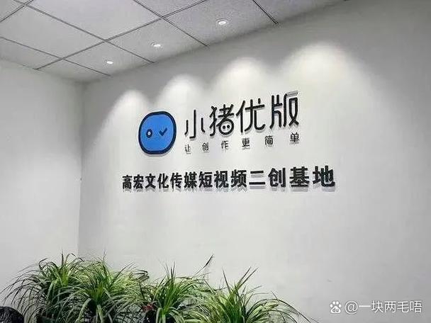 小猪优版账号多少钱截图3