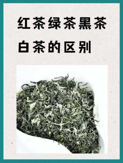 绿茶黑茶红茶白茶哪个好
