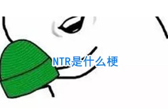 NTR是啥意思? NTR是啥意思?