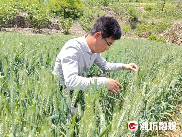 闲置地种什么省心