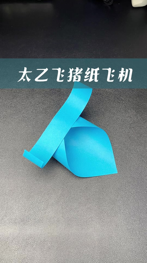 纸飞猪