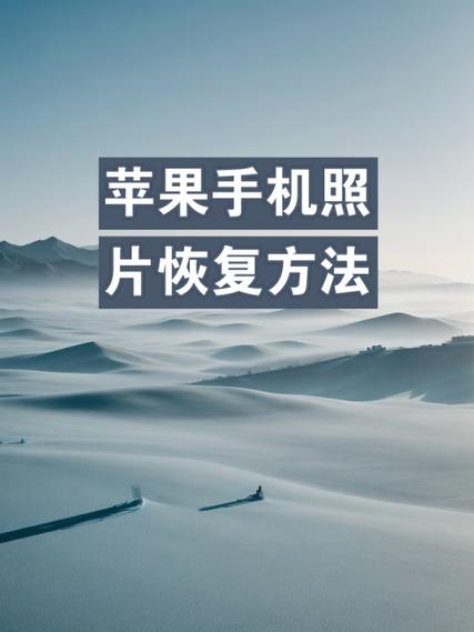 手机初始化后照片怎么恢复截图3