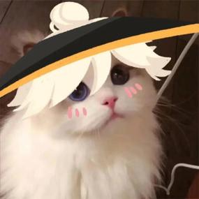 光遇表演季猫猫头头像截图3