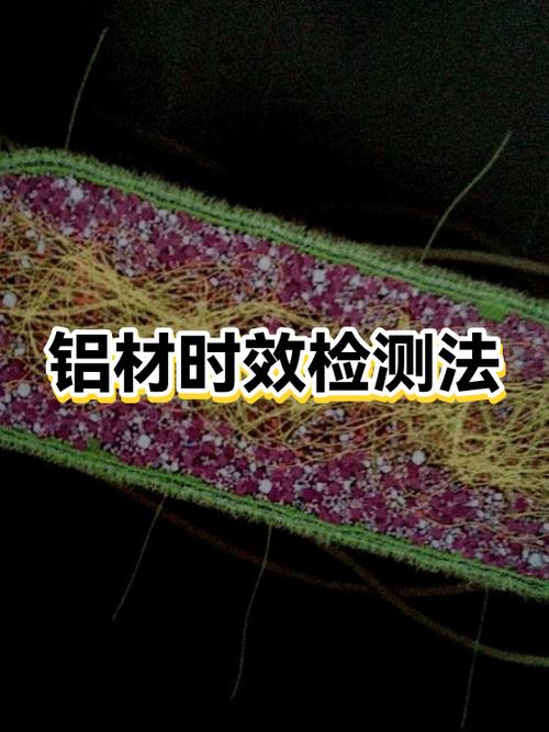 时效测试件可以举报吗
