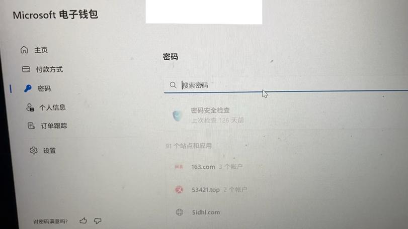 查看浏览器密码的方法