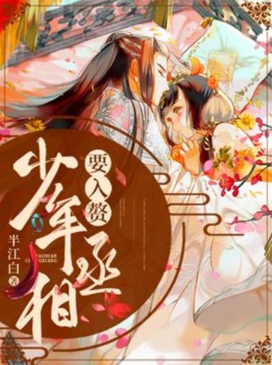 少年丞相小说