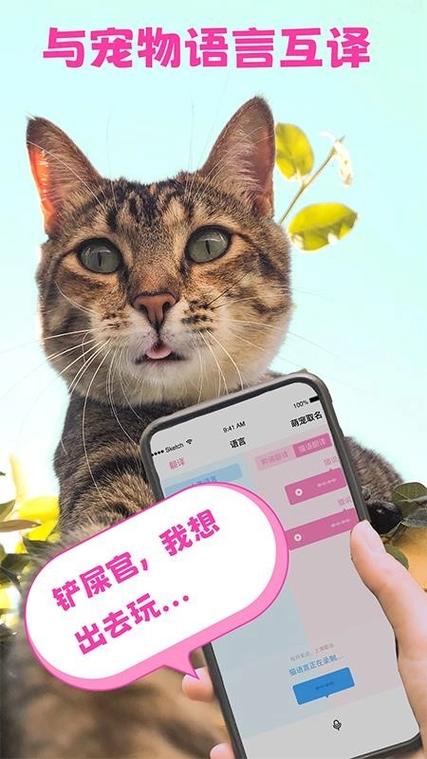 人和猫说话翻译软件