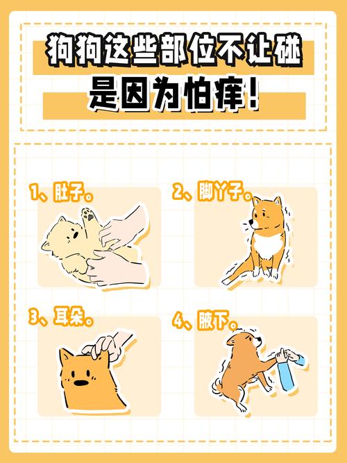 怕痒的不让碰