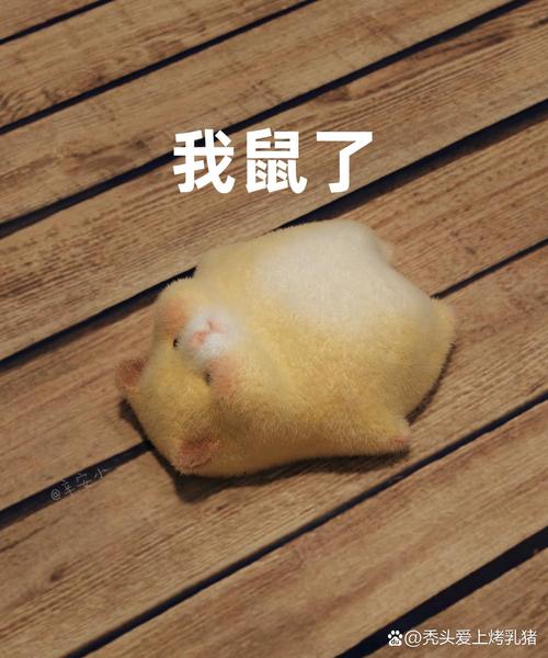 仓鼠连贯表情包
