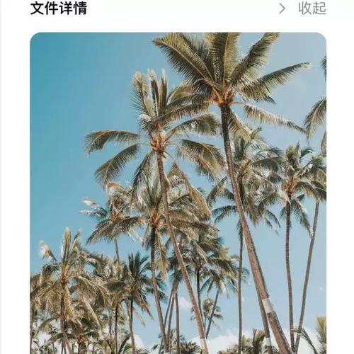 macbook怎么换壁纸