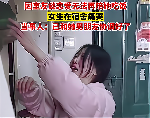 弄哭高冷室友算吗