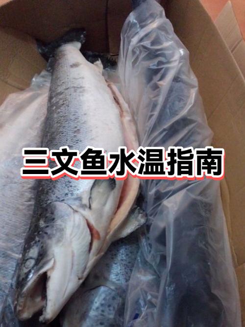 三文鱼冷冻多久不能吃了截图2