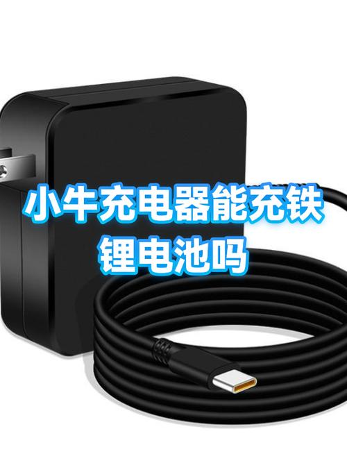 小牛充满电充电器还是红的