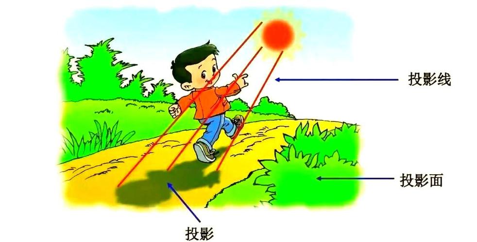 影子和投影的概念区别