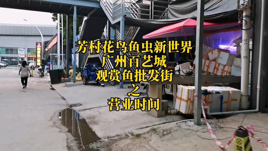 广州有几个观赏鱼市场