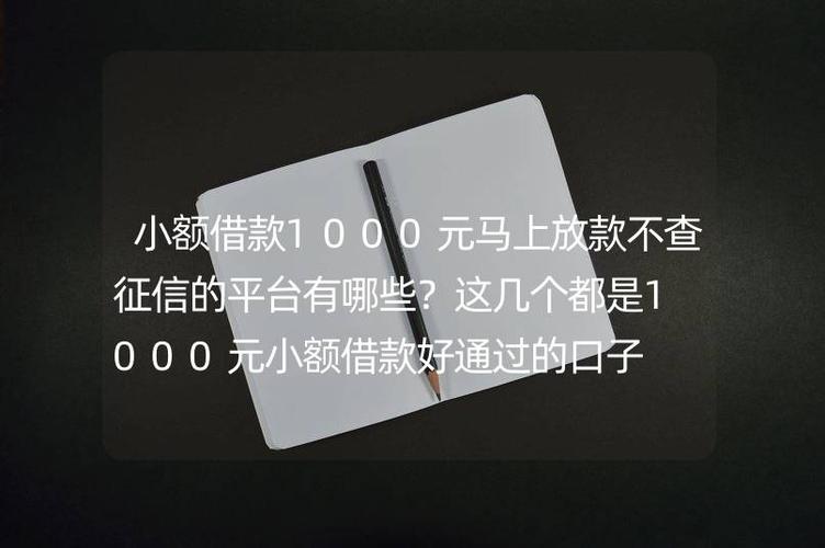 小额借款1000元马上放款