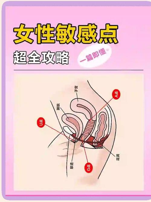 肛门刺激点图解位置