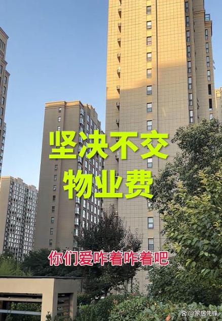 交了物业费还交电梯费法律依据