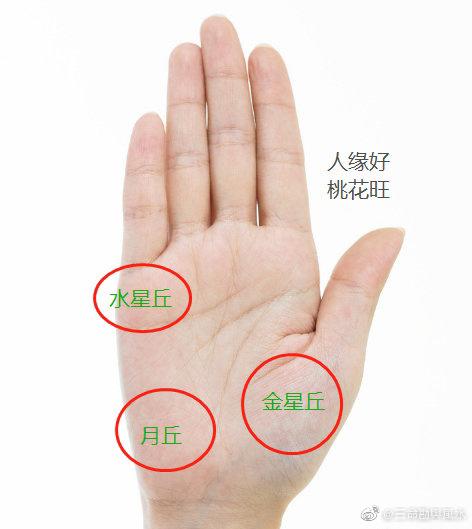 三丘饱满的人多吗截图3