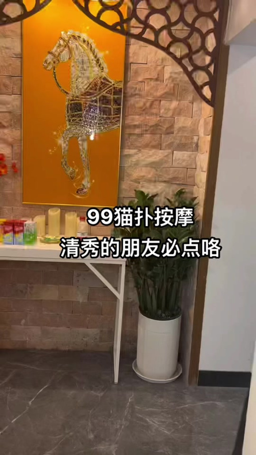 猫扑spa怎么做的呢