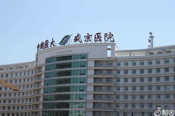 盛京医院地址