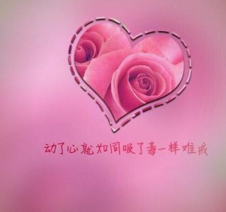老婆心伤透了怎么挽回
