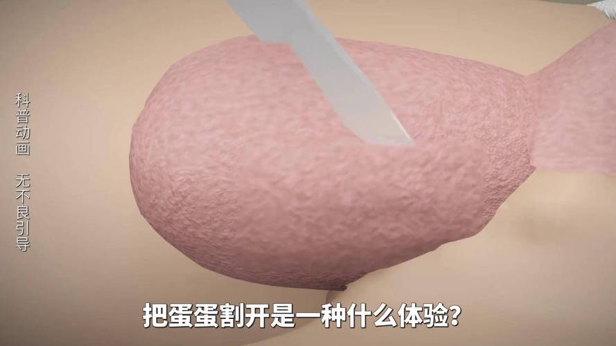 我的世界割蛋蛋视频