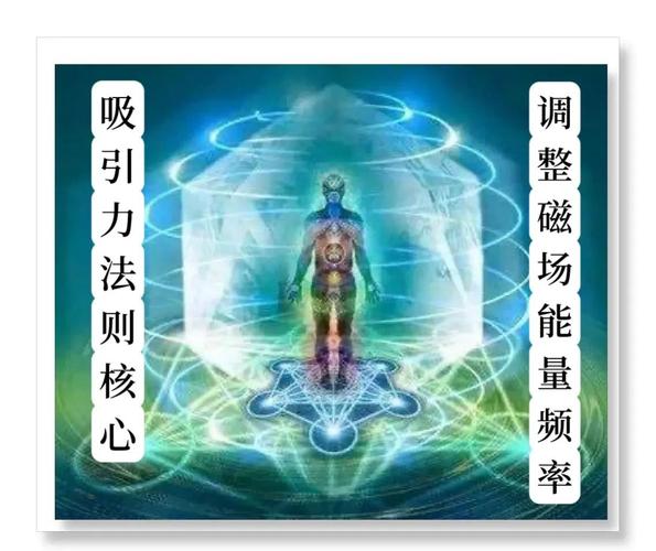 健道能量截图2
