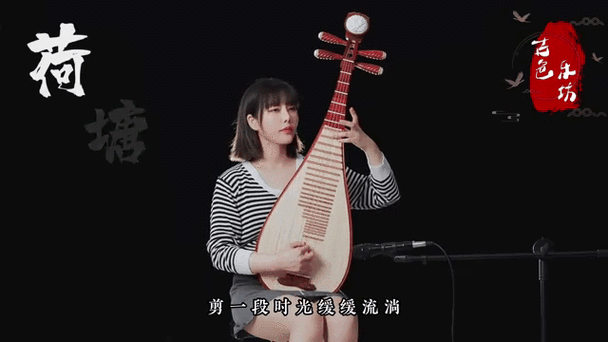 琵琶版截图2