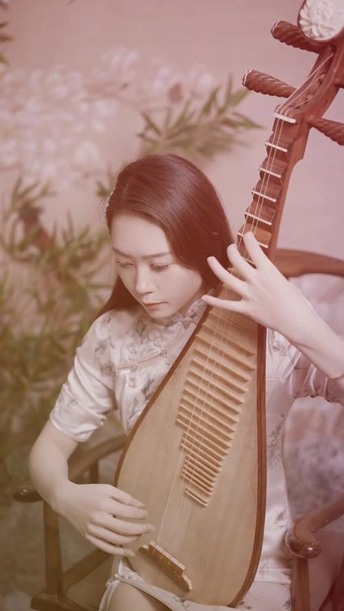 琵琶版截图3
