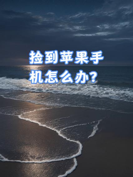 捡来的苹果X解锁多少钱
