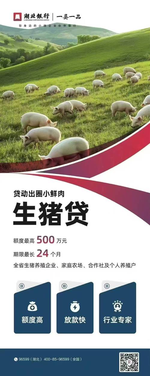 有没有在猪小贷贷款