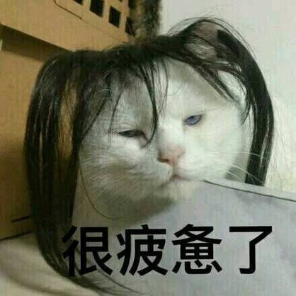 疲惫不堪的表情包