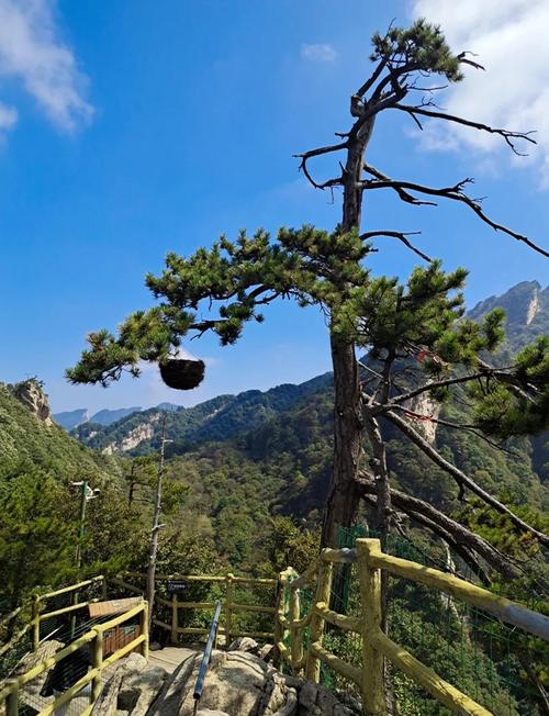 南阳市老界岭景区简介