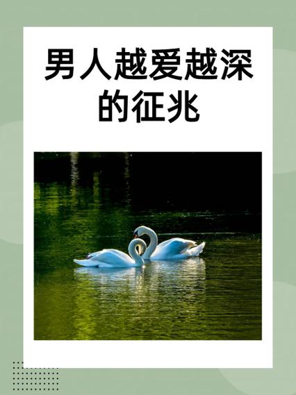 男人深爱你的提现
