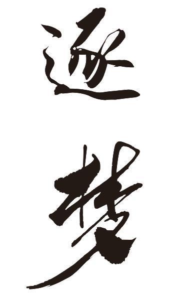 逐梦图案设计