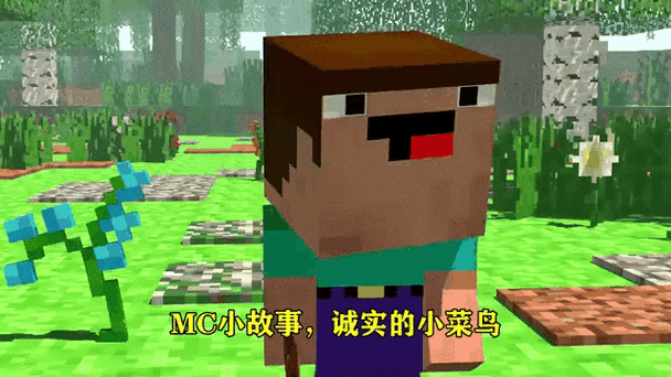 我的世界菜鸟的故事