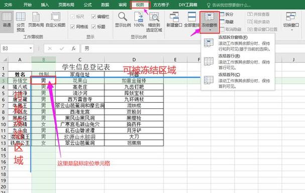 表格怎么冻结选定区域