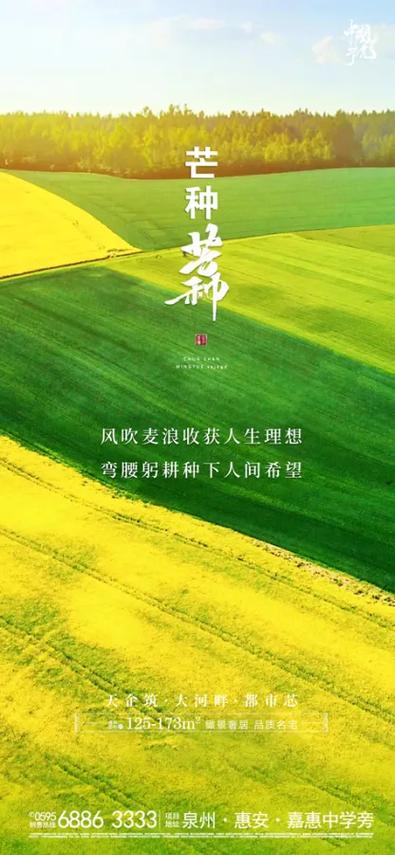 麦穗发朋友圈怎么写