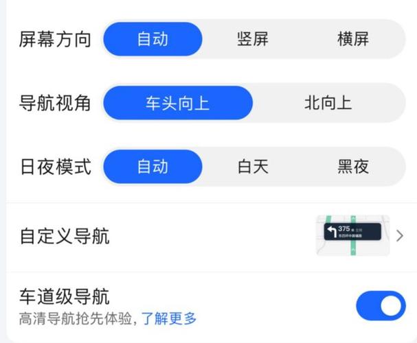 高德导航车道级功能怎么打开