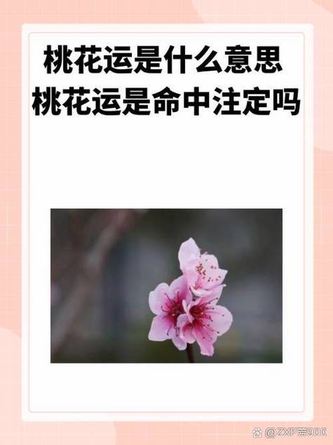 交桃花运是什么意思