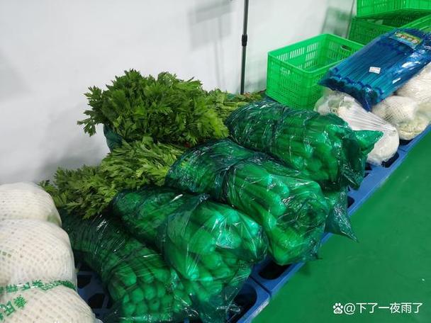 同城新鲜蔬菜送菜上门