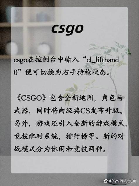csgo左右手持枪指令在哪设置