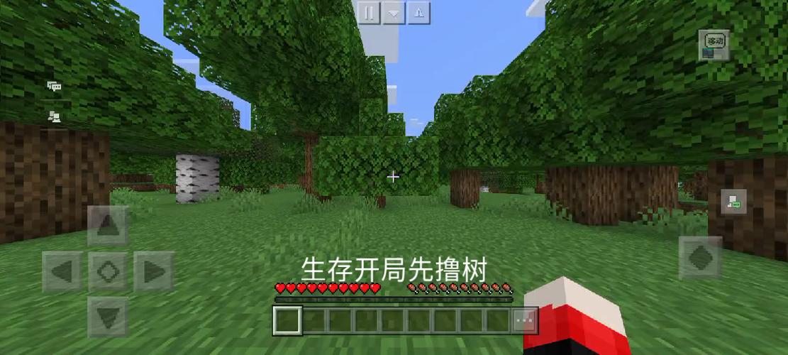 我的世界生存游戏视