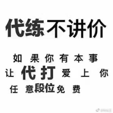 王者陪练